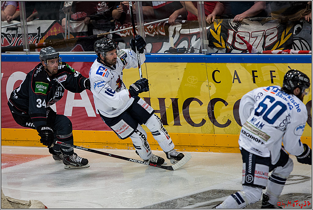 Koelner Haie - Iserlohn Roosters, 09.10.2016